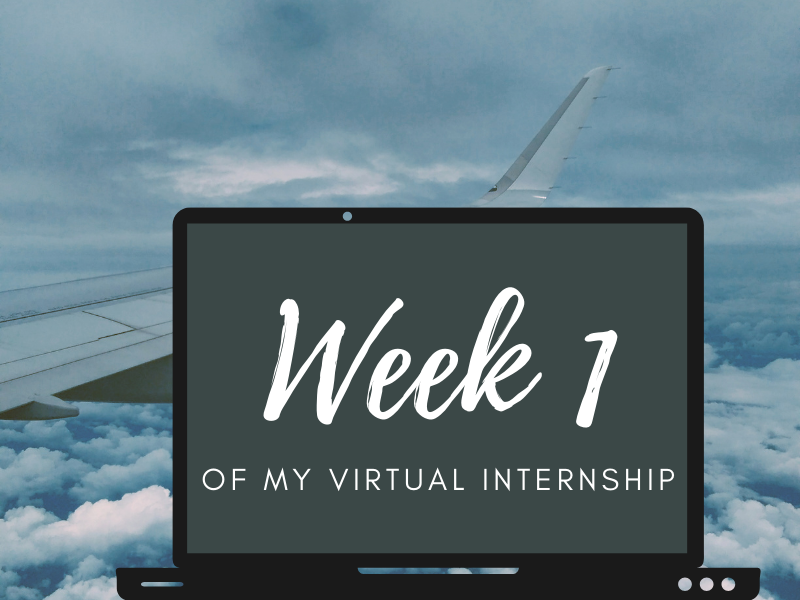 Week 1 of my Virtual Internship