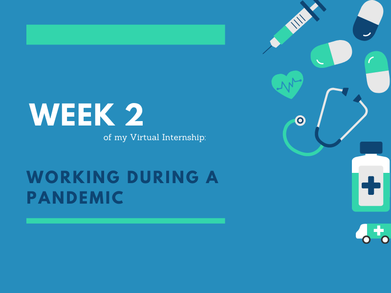 Week 2 | Working During a Pandemic
