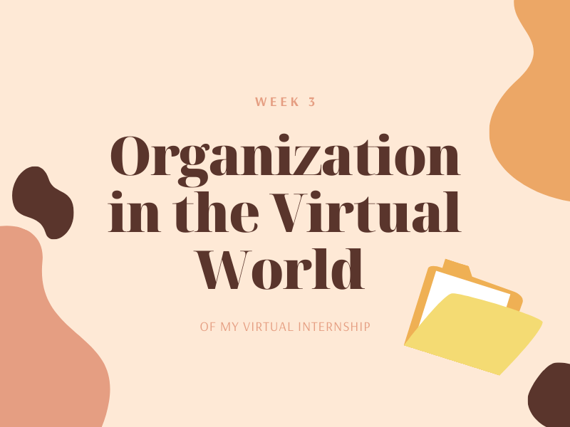 Week 3 | Organization in the Virtual World