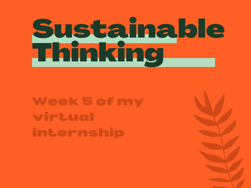 Week 5 | Sustainable Thinking