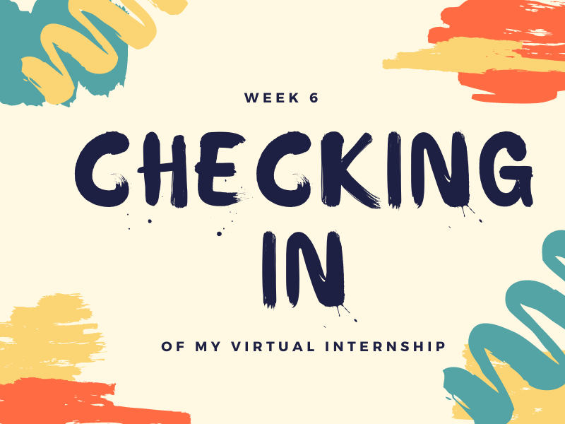 Week 6 | Checking In