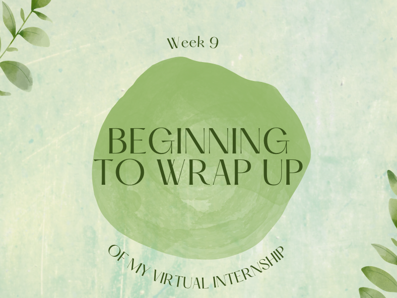 Week 9 | Beginning to Wrap Up