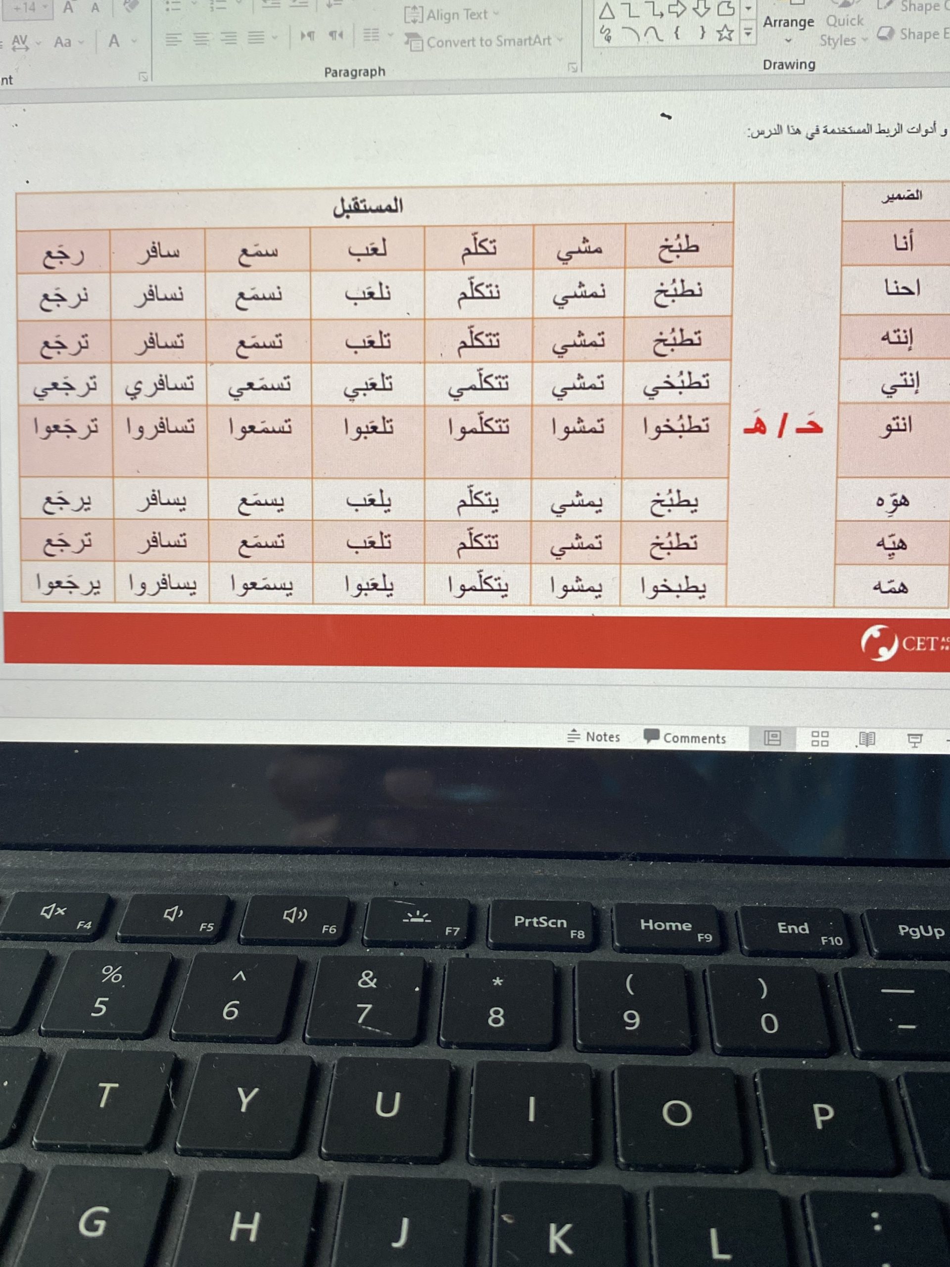 Final Week of Virtual Arabic!