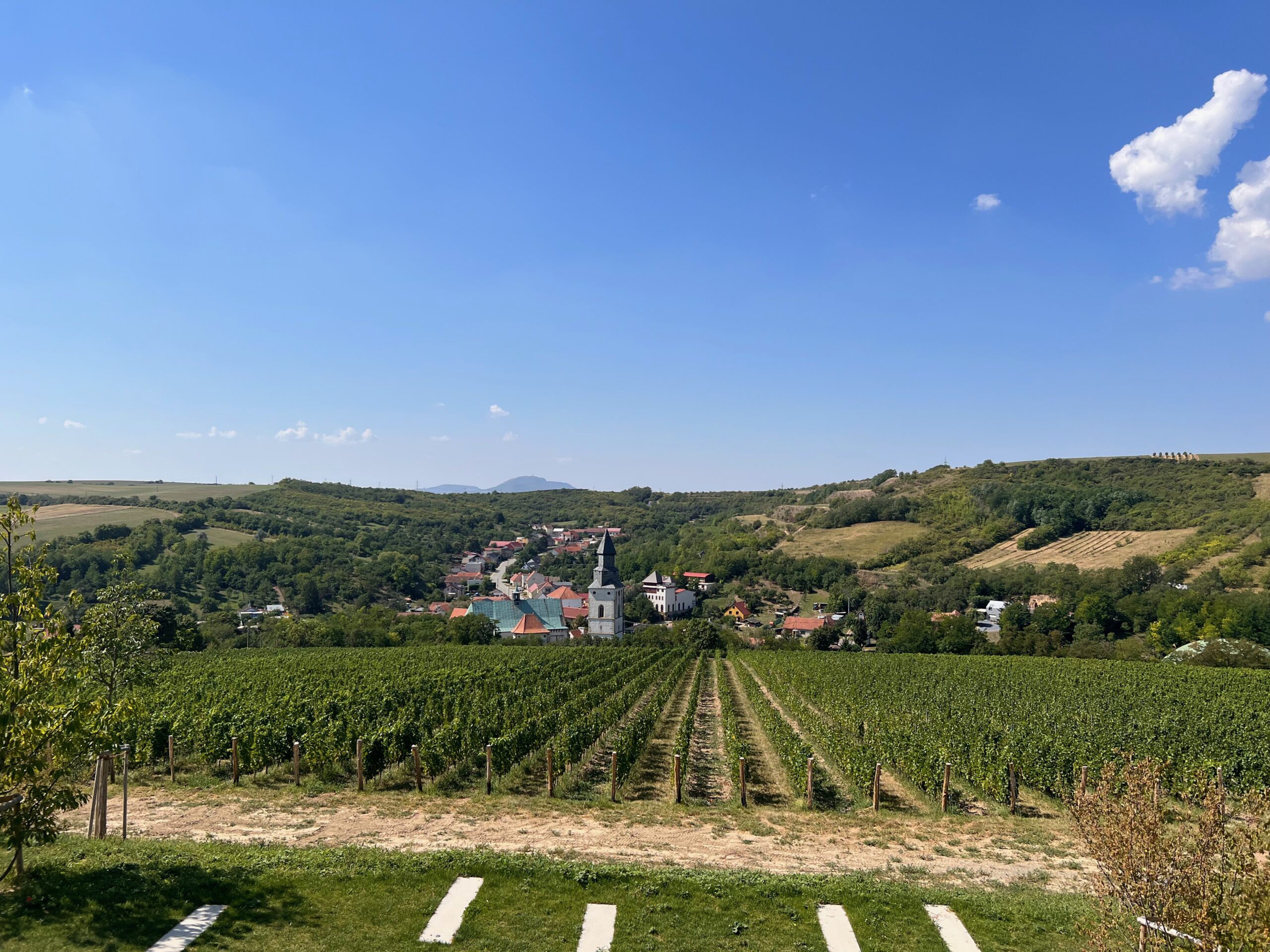 Czech Countryside Traditions: Vineyards on Vineyards in Moravia