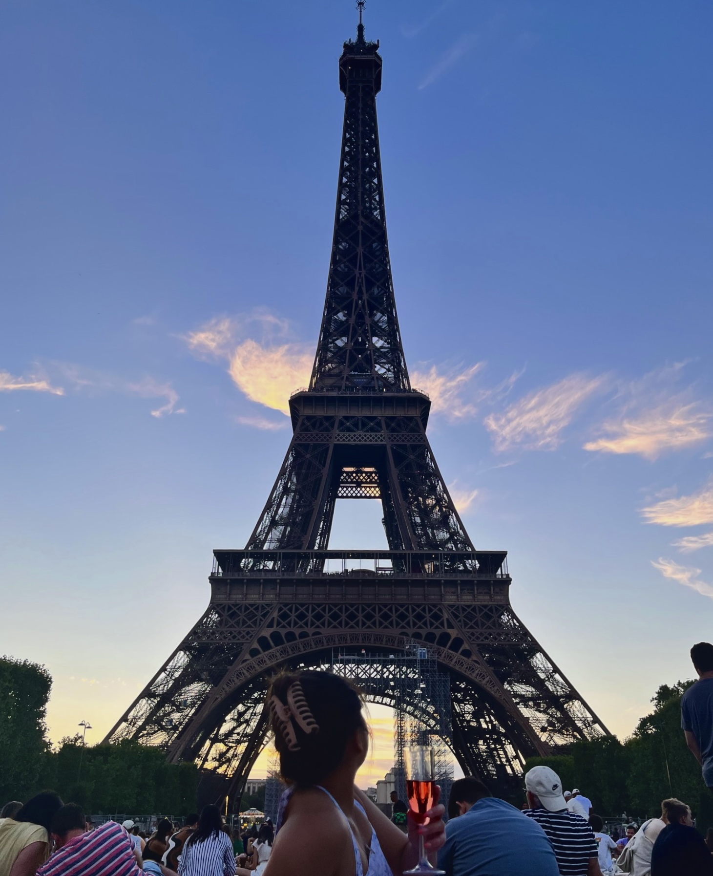 Last Picnic Under the Eiffel
