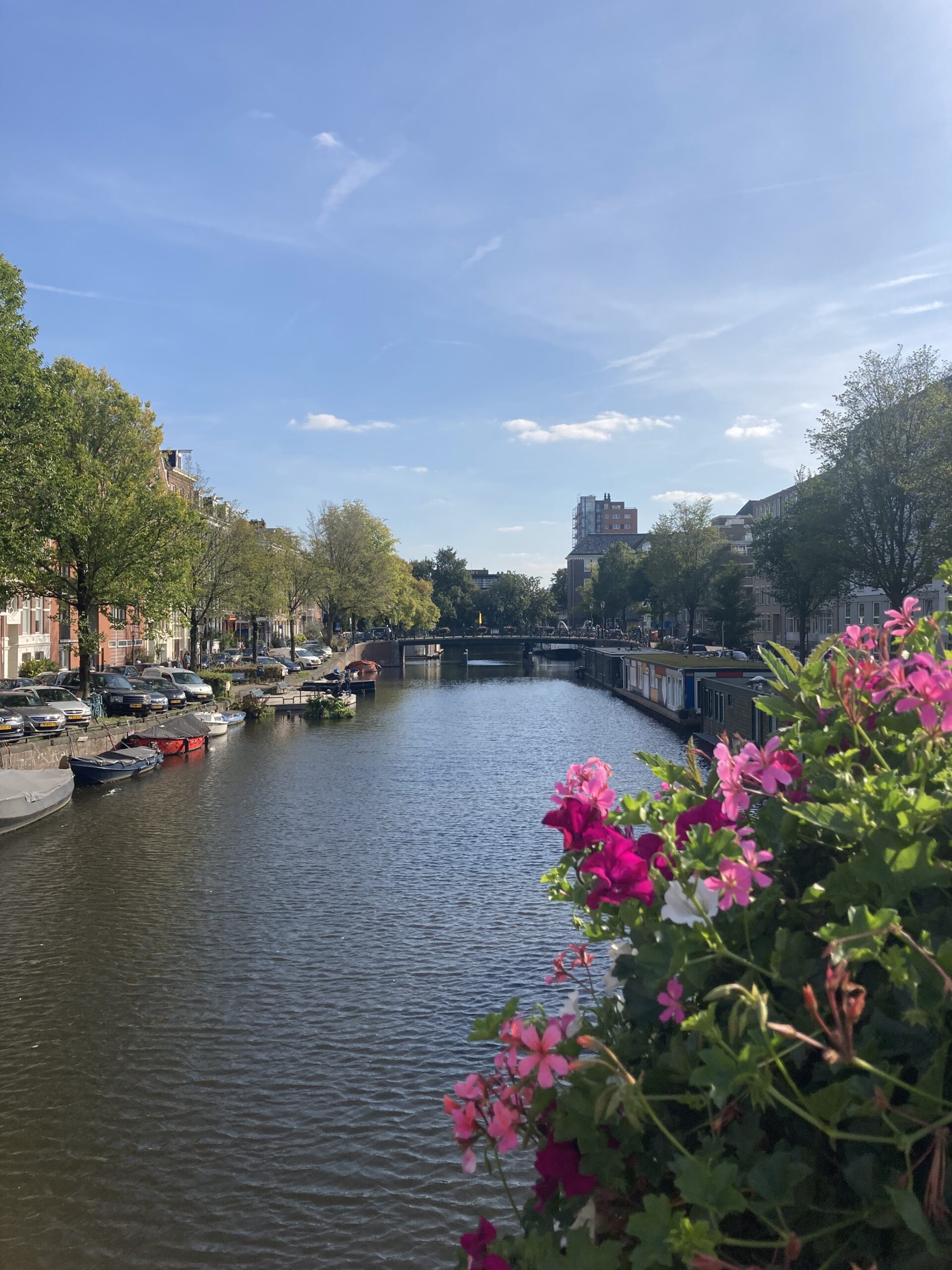 Being a college student in the Netherlands & Life updates