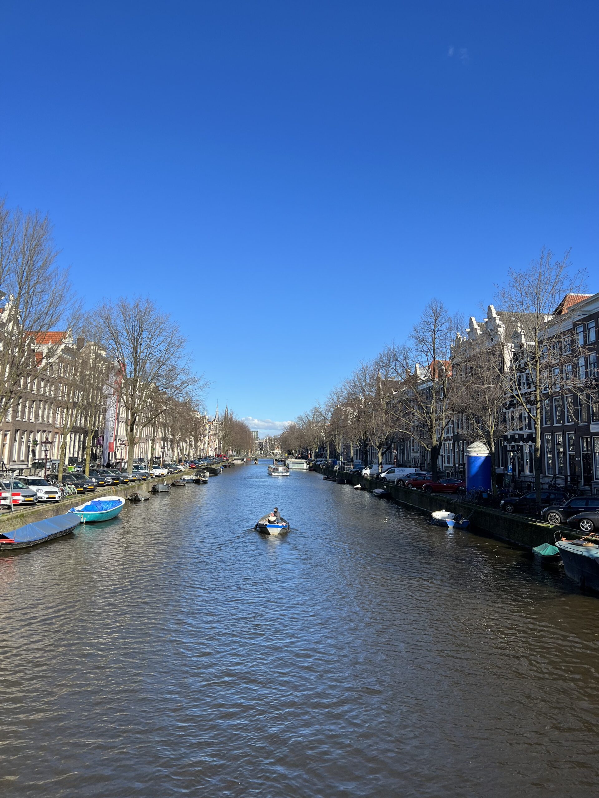 Adjusting Expectations in Amsterdam and Berlin