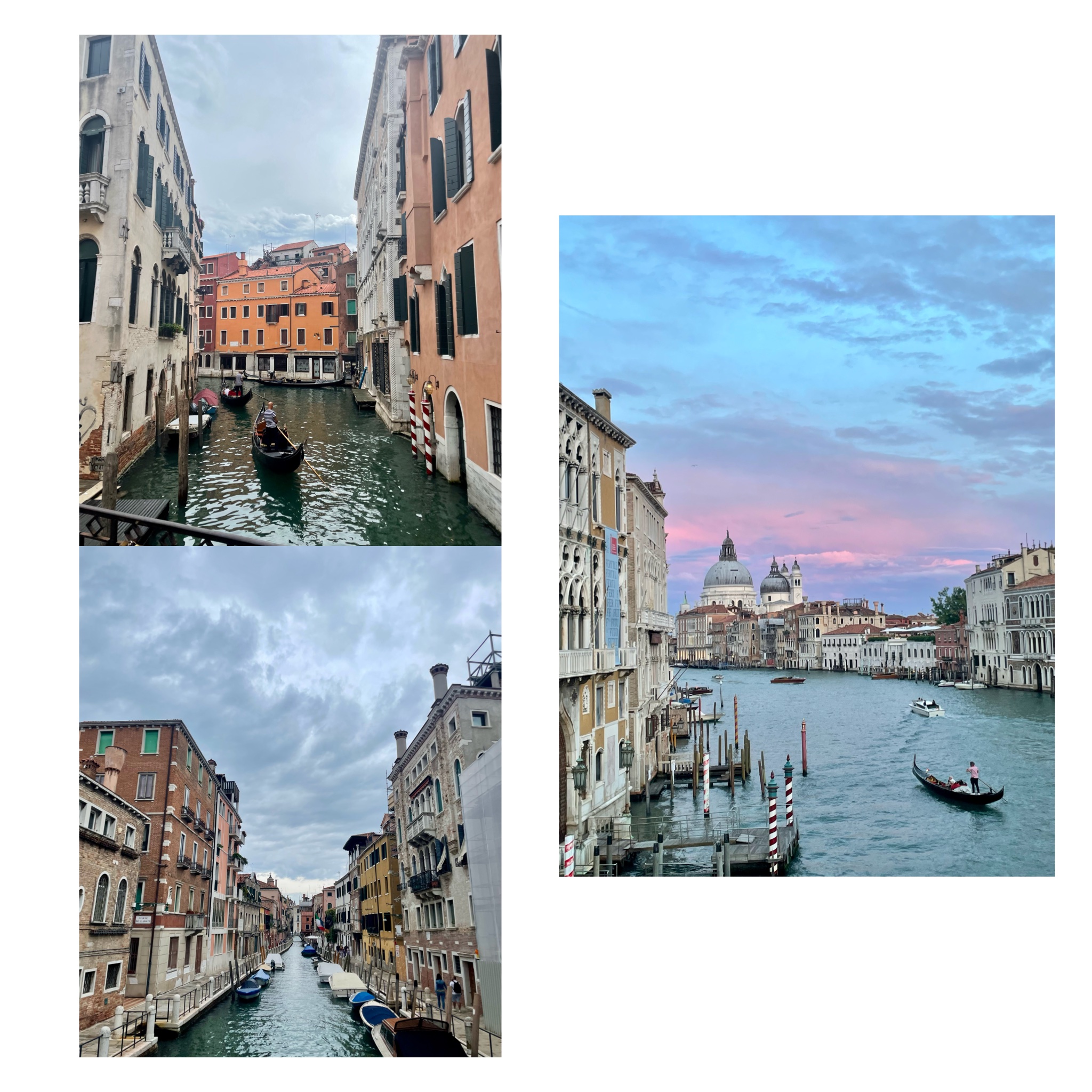 Venice Voyage Week 4: Navigating Canals and Creating Memories