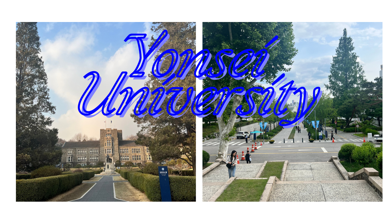 Studying in South Korea: The Story of Learning at Yonsei University